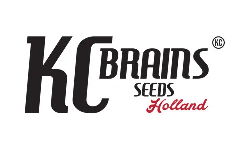 K.C. Brains