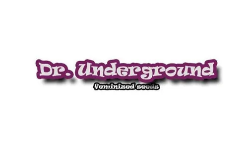 Dr. Underground