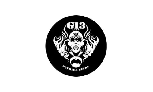 G13 Labs