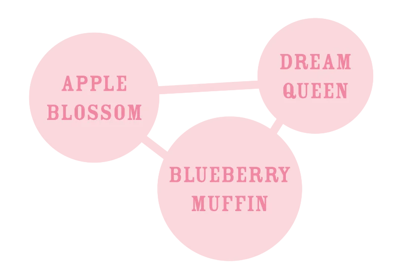 Apple Blossom – Galerieansicht