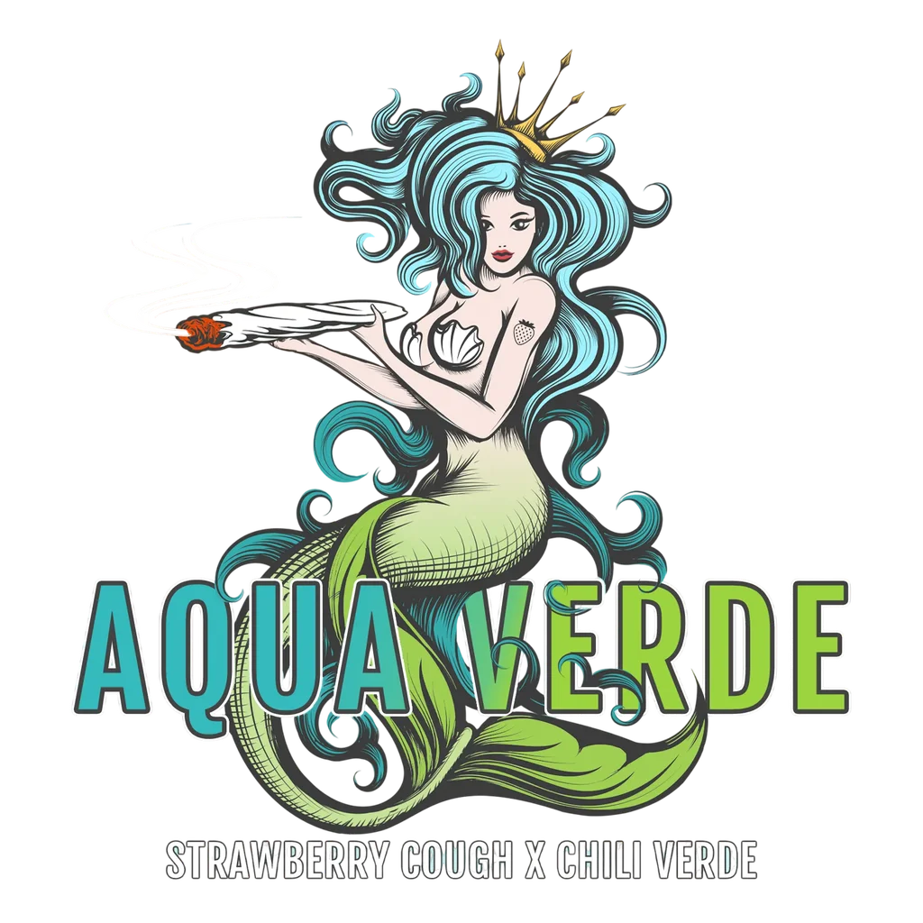 Aqua Verde – Galerieansicht