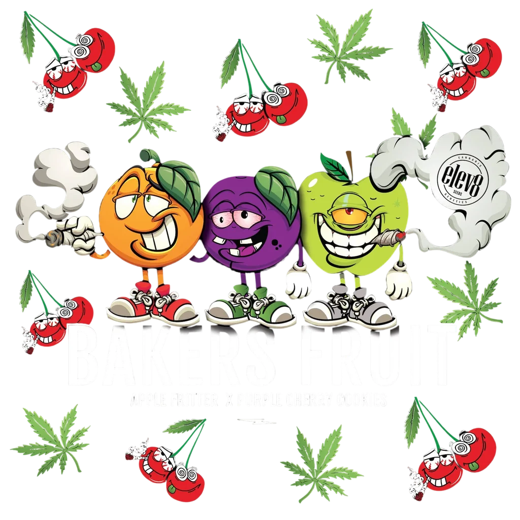 Bakers Fruit – Galerieansicht