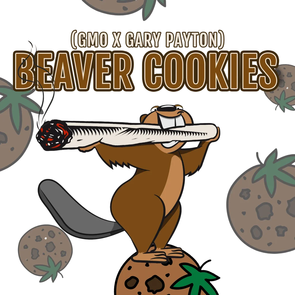Beaver Cookies – Galerieansicht