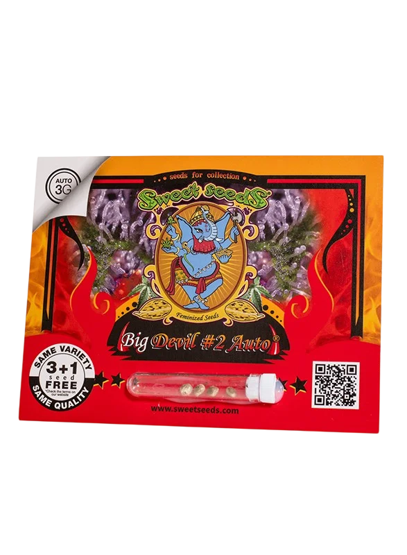 Big Devil #2 Auto – Galerieansicht