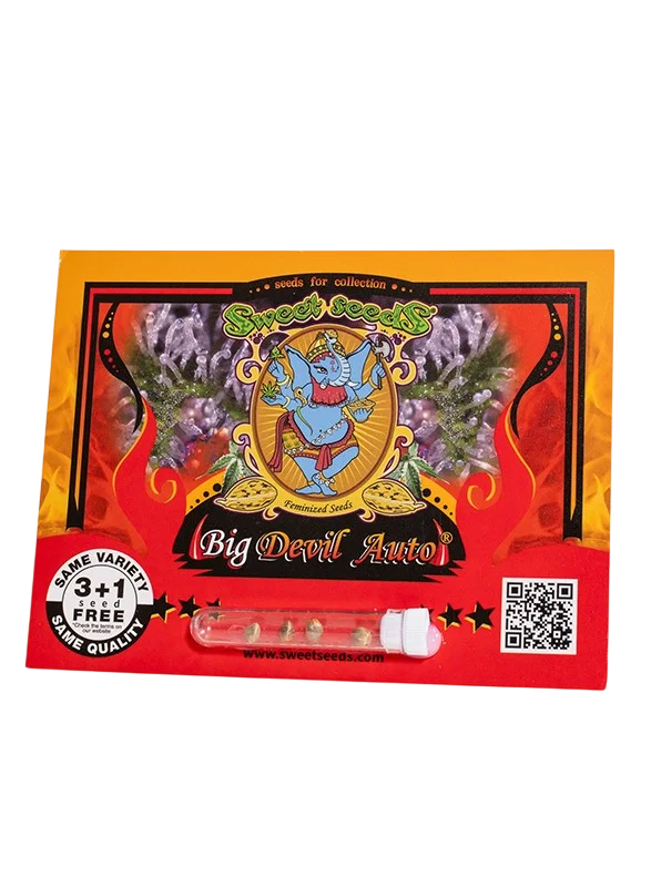 Big Devil Auto – Galerieansicht