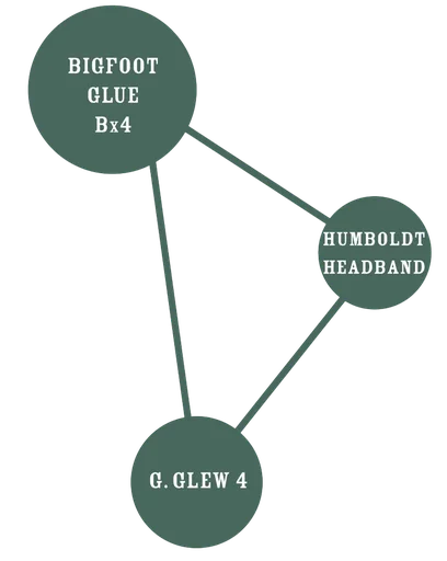 Bigfoot Glue | PHOTOFEM | Humboldt Seed Co. - Freigestellt 2026-10-09
