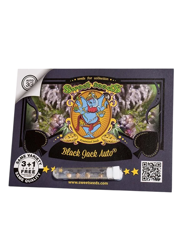 Black Jack Auto – Galerieansicht