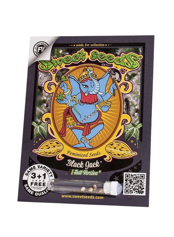 Black Jack F1 FAST Version – Galerieansicht
