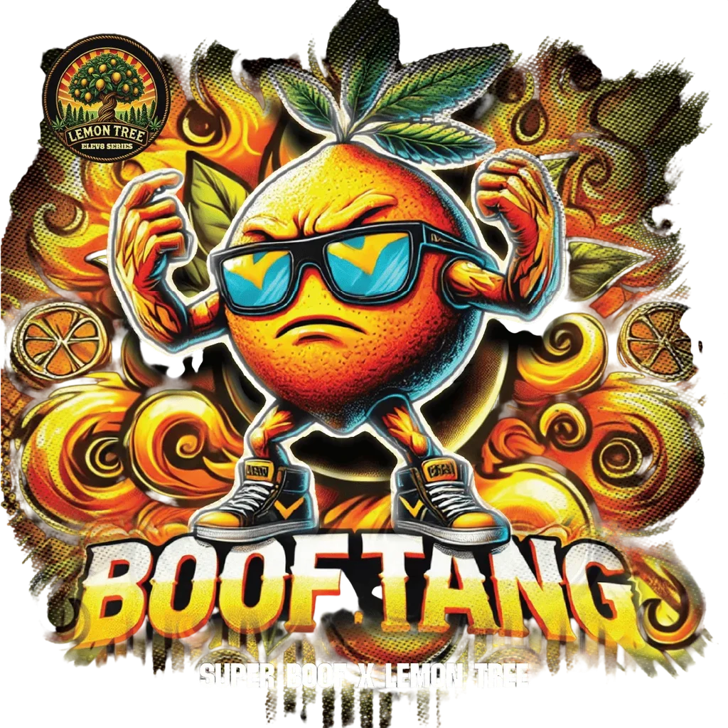 Boof Tang – Galerieansicht