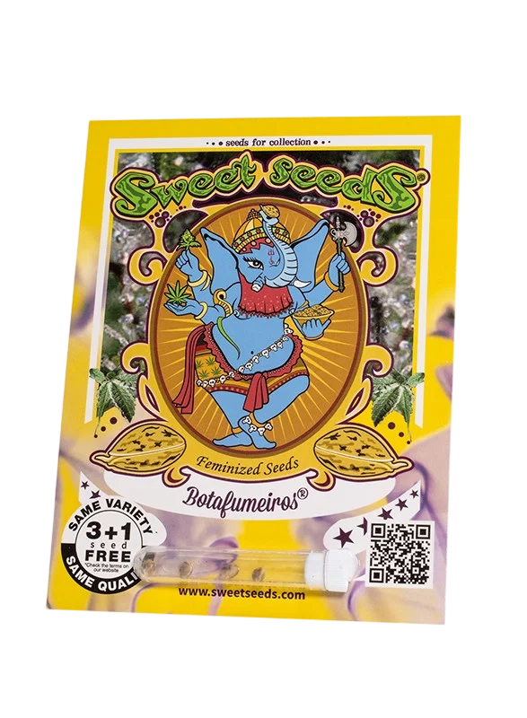 Botafumeiros – Galerieansicht