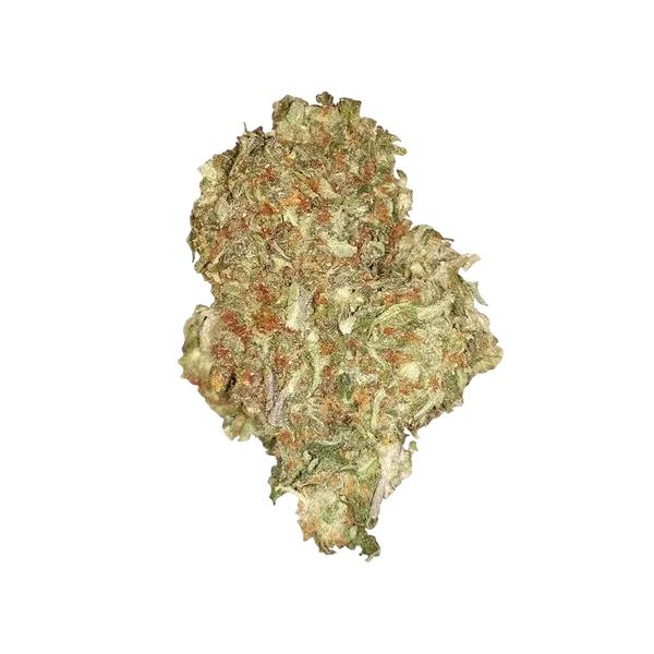 Quick One | AUTOFEM | Royal Queen Seeds - Freigestellt 2026-05-12