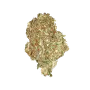 Quick One | AUTOFEM | Royal Queen Seeds - Freigestellt 2026-05-12