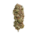 AMG (Amnesia Mac Ganja) | PHOTOFEM | Royal Queen Seeds - Freigestellt 2026-05-14