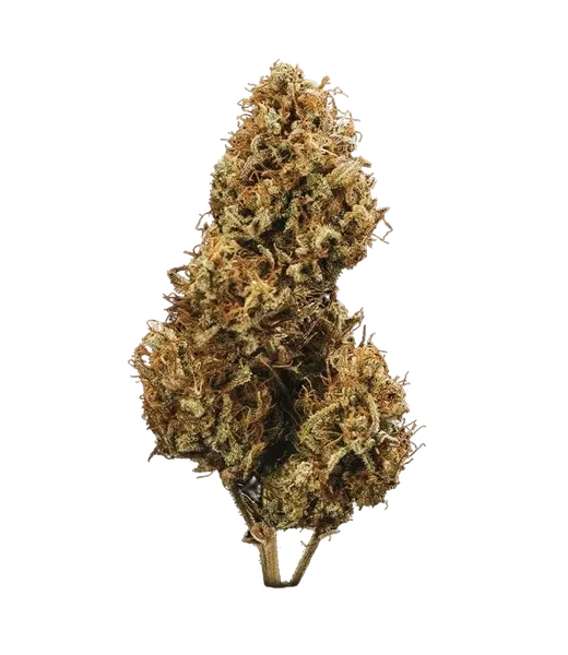 Blue Cheese | AUTOFEM | Royal Queen Seeds - Freigestellt 2026-05-19