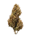 Blue Cheese | AUTOFEM | Royal Queen Seeds - Freigestellt 2026-05-19