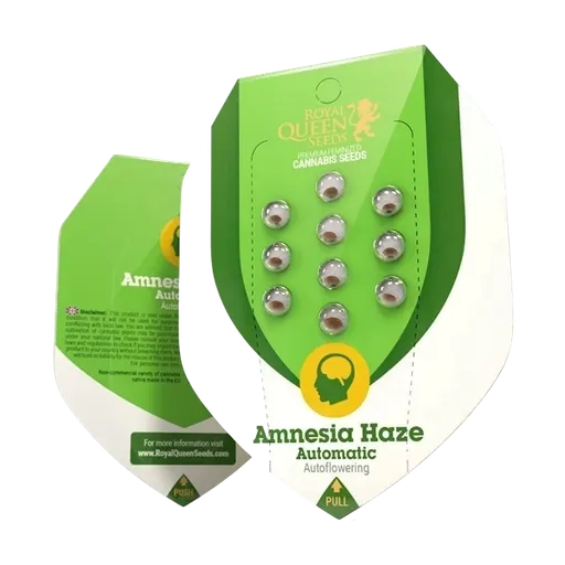 Amnesia Haze | AUTOFEM | Royal Queen Seeds - Freigestellt 2026-05-22