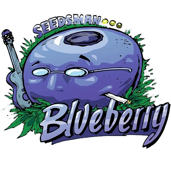 Blueberry – Galerieansicht