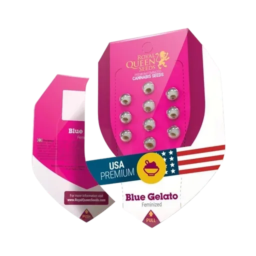 Blue Gelato | PHOTOFEM | Royal Queen Seeds - Freigestellt 2026-05-22