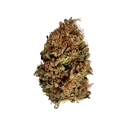 Stress Killer CBD | AUTOFEM | Royal Queen Seeds - Freigestellt 2026-06-09