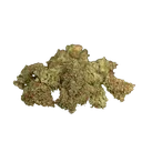 Gaia F1 | AUTOFEM | Royal Queen Seeds - Freigestellt 2026-06-09