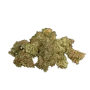 Gaia F1 | AUTOFEM | Royal Queen Seeds - Freigestellt 2026-06-09