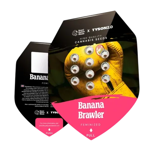 Banana Brawler | PHOTOFEM | Royal Queen Seeds - Freigestellt 2026-06-09