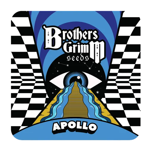 Apollo | PHOTOFEM | Brothers Grimm Seeds - Freigestellt 2026-08-13
