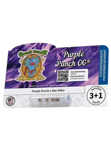 Purple Punch OG