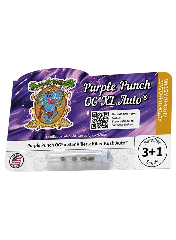 Purple Punch OG XL Auto – Produktansicht