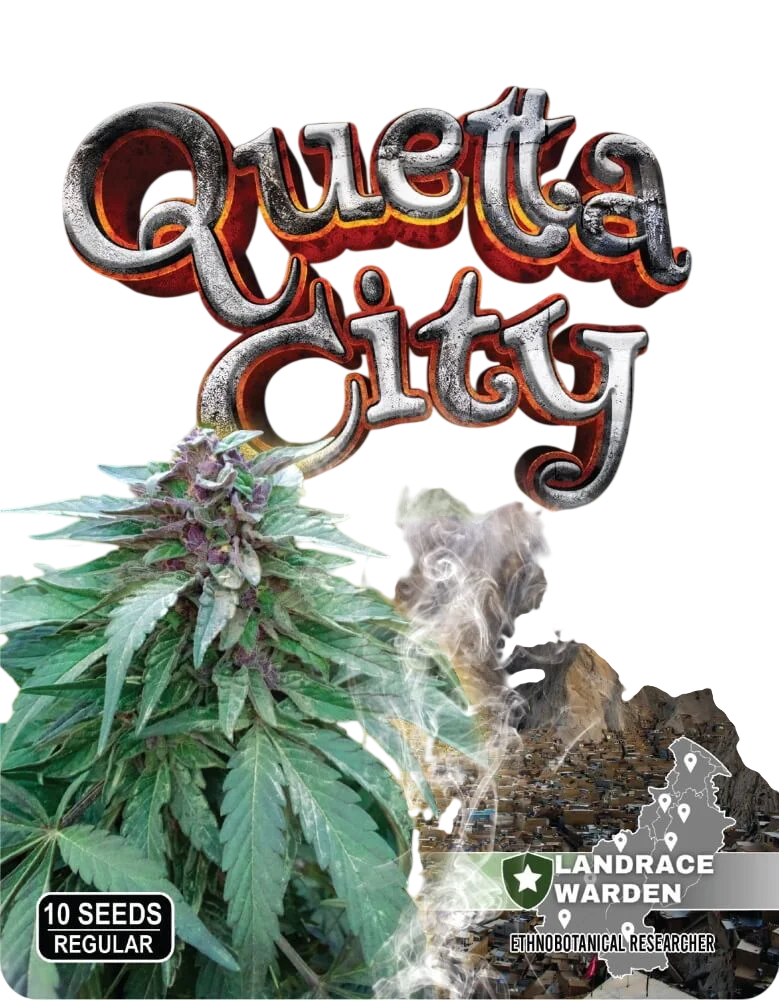 Quetta City – Produktansicht