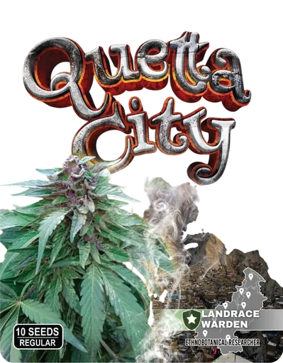 Quetta City