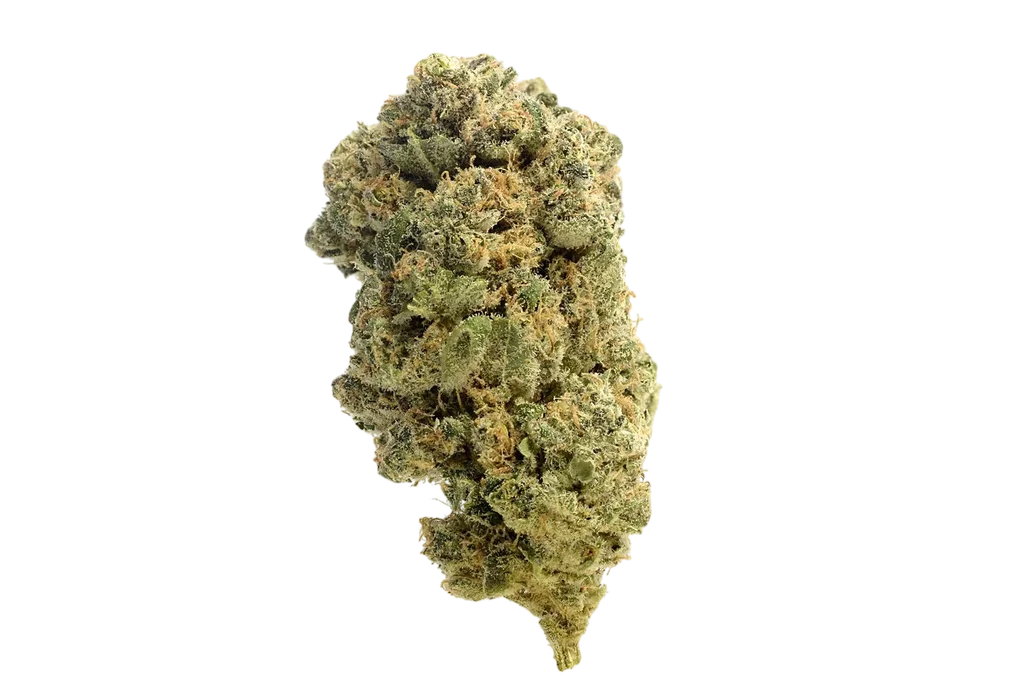 Quicksilver – Produktansicht