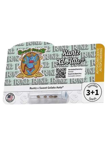 Runtz XL Auto