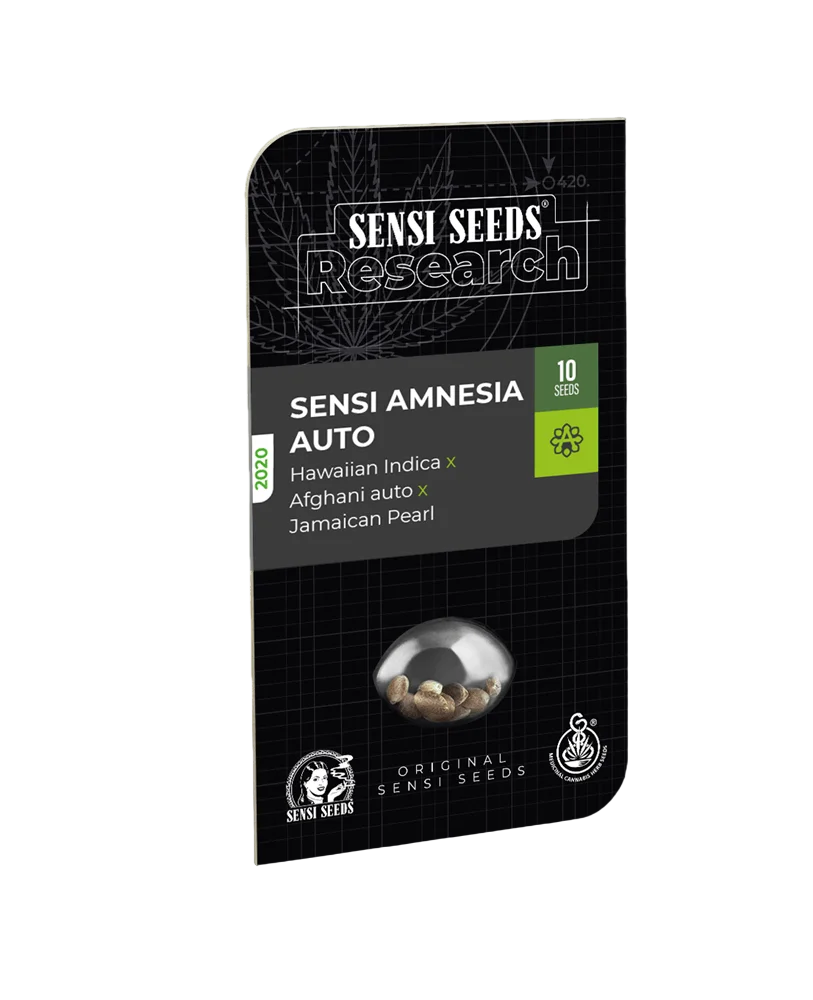 Sensi Amnesia Auto – Produktansicht