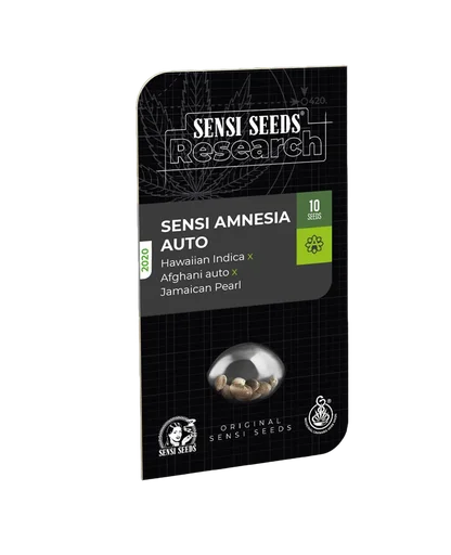 Sensi Amnesia Auto