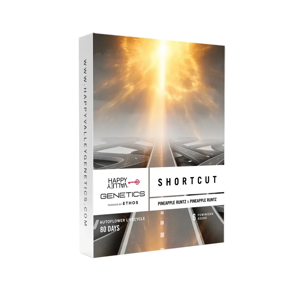 Shortcut Auto – Produktansicht