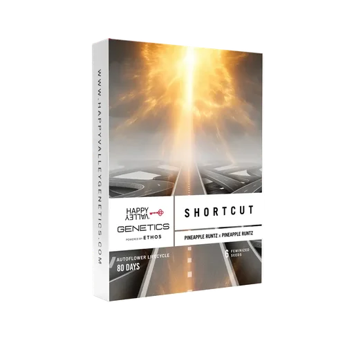 Shortcut Auto