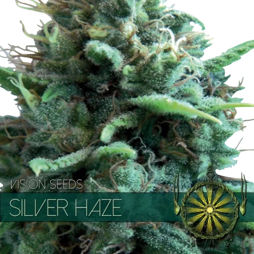 Silver Haze – Produktansicht
