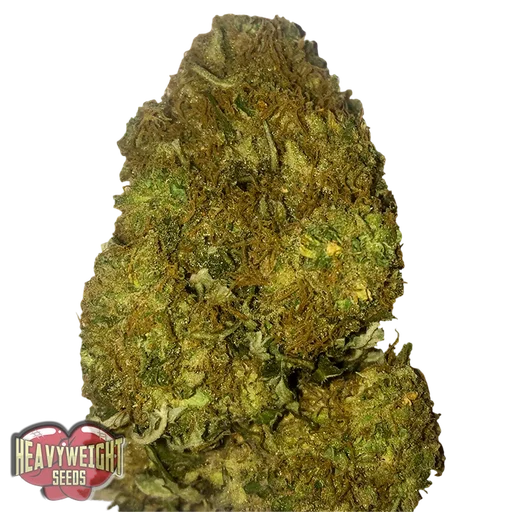 Skunky Monkey Auto