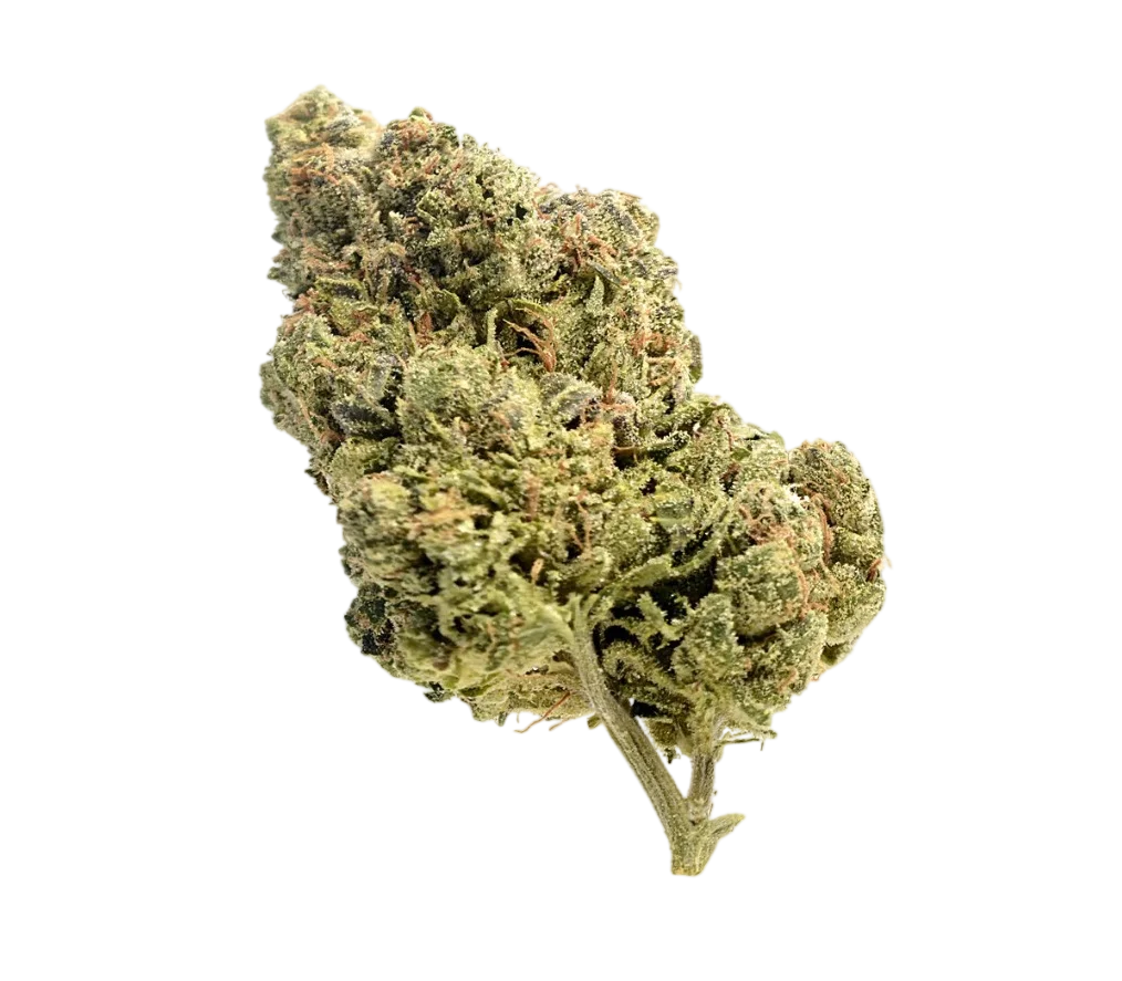 Skyrocket – Produktansicht