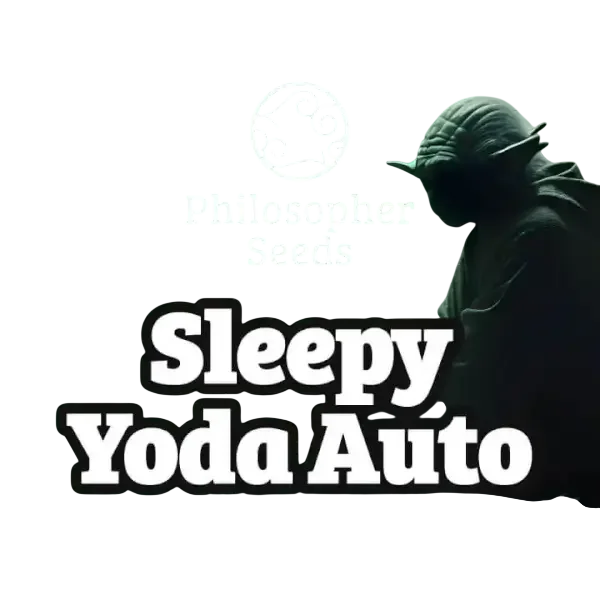 Sleepy Yoda Auto – Produktansicht