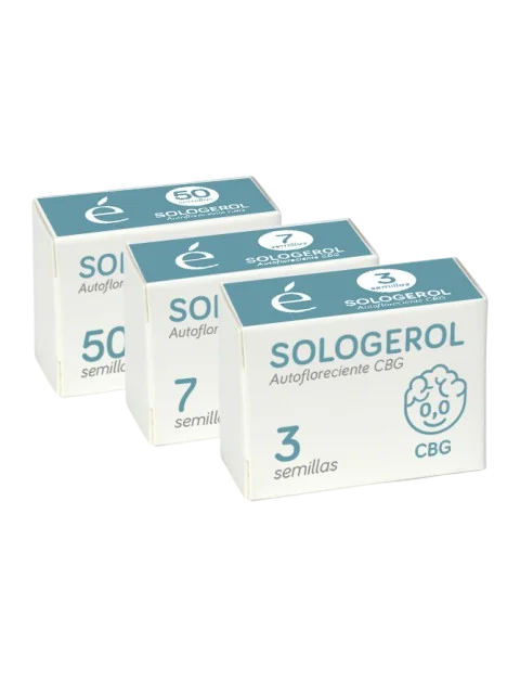Sologerol CBG Auto – Produktansicht