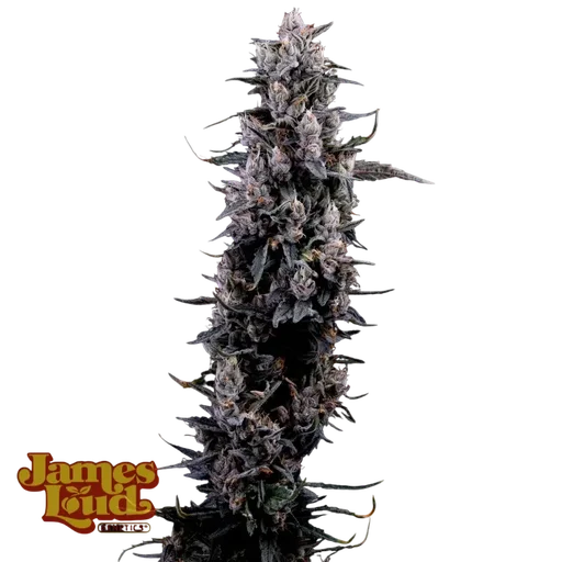 Sour Grape Diesel
