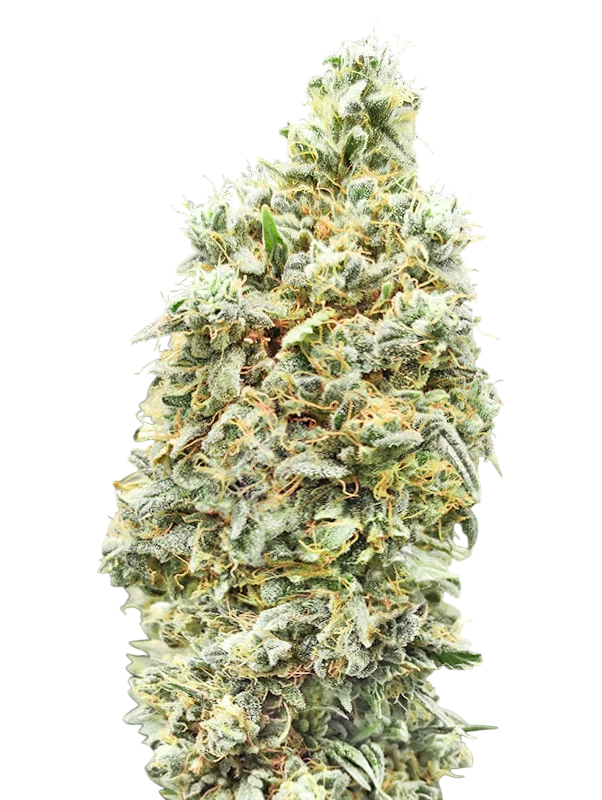 Strawberry Banana FAST – Produktansicht