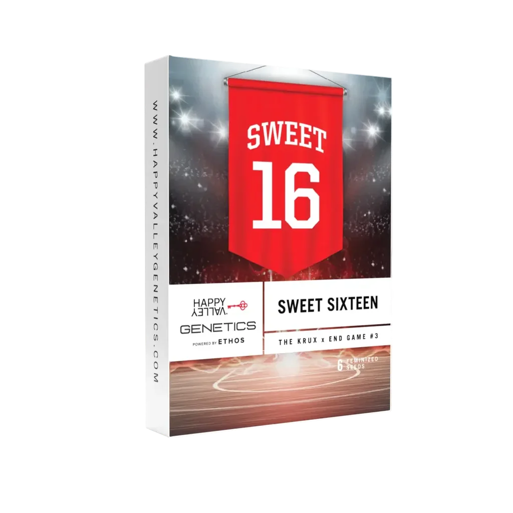 Sweet 16 – Produktansicht
