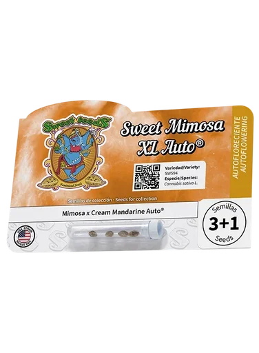 Sweet Mimosa XL Auto