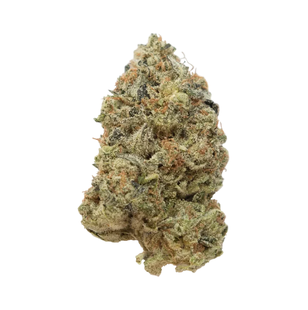 Tangerine G13 – Produktansicht