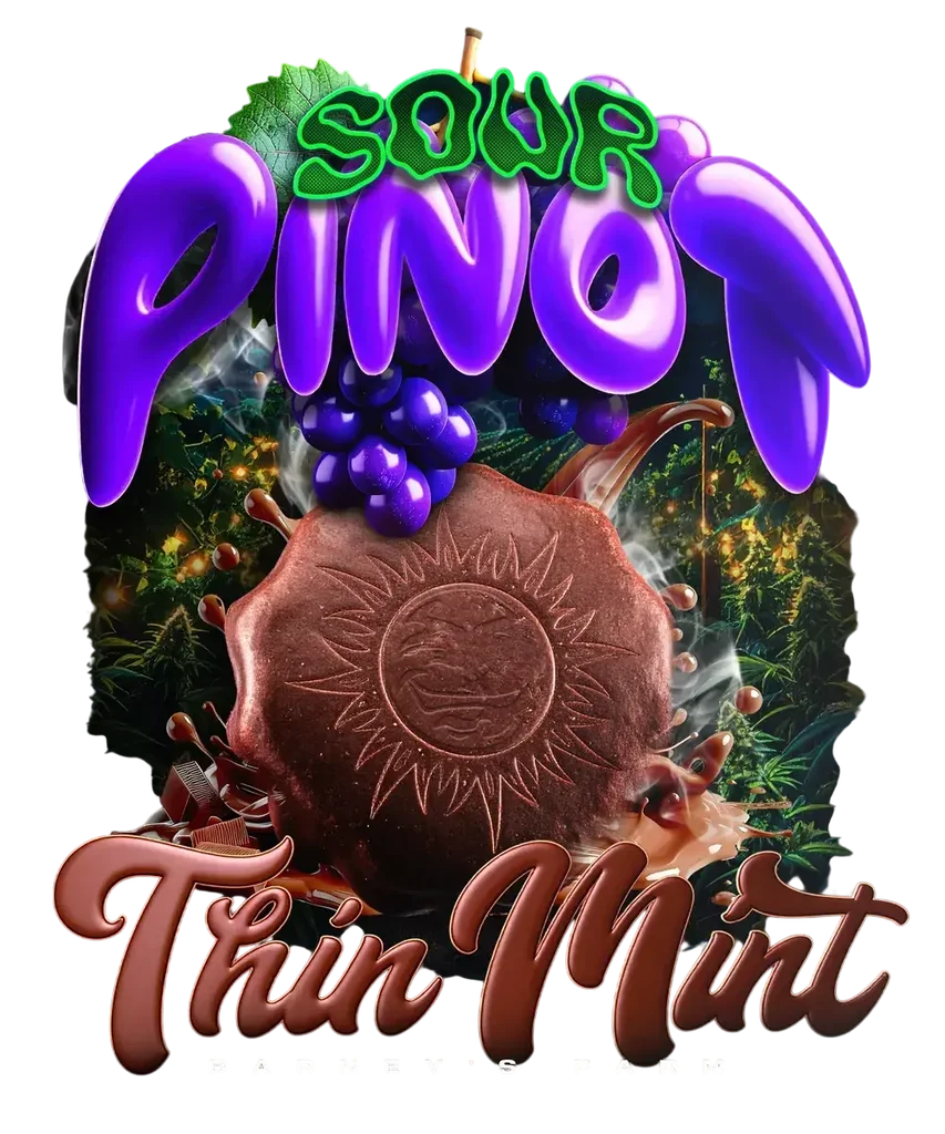 Thin Mint x Sour Pinot Auto – Produktansicht