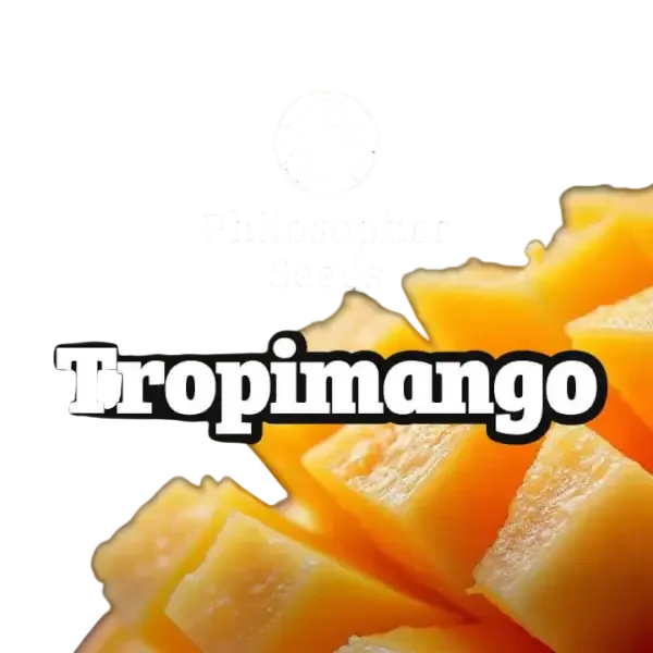 Tropimango – Produktansicht