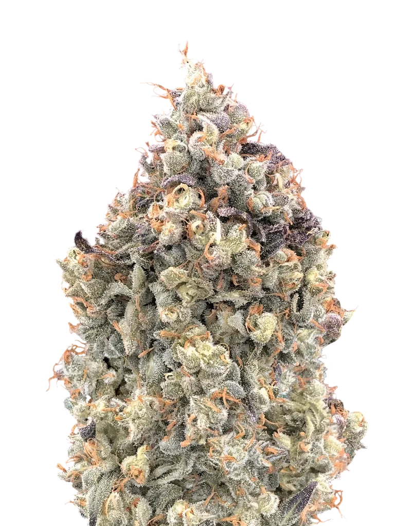 Watermelon OG Auto – Produktansicht